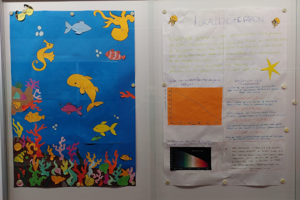 Bild 54