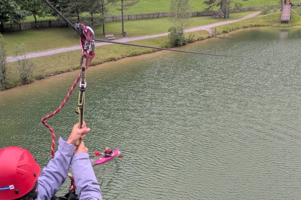 Flying Fox